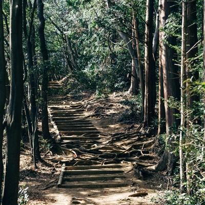 古惑仔之热血燃烧手游下载