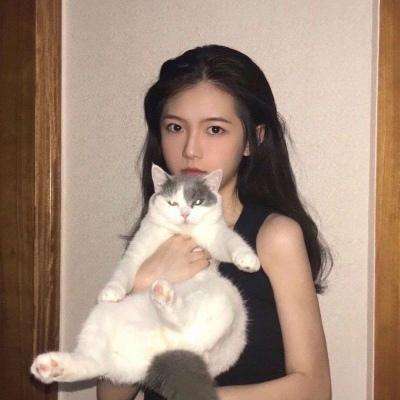 我的伙伴最多游戏下载